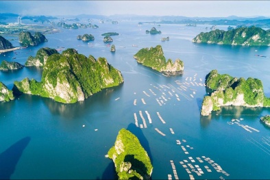 Những điểm đến 'cũ mà mới' gây thương nhớ tại Hải Phòng