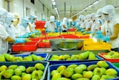 4 tháng đầu năm 2019, kim ngạch xuất khẩu sang thị trường Mỹ tăng cao