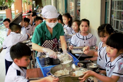 Thực đơn cân bằng dinh dưỡng cho học sinh bán trú tại Thái Bình