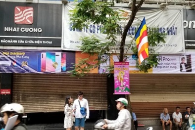 Nhật Cường Mobile và bức tranh thị trường bán lẻ di động Việt Nam