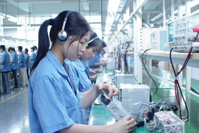Chuyên gia Ngân hàng Quốc tế: Muốn tăng năng suất, cần tập trung thúc đẩy khoa học sáng tạo