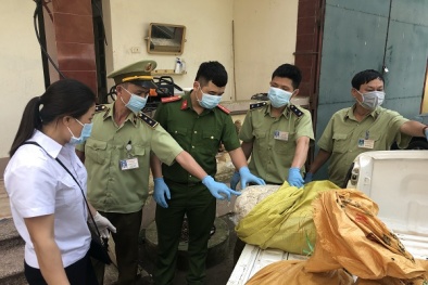 Phát hiện 800 kg lòng lợn đã chuyển màu đen, bốc mùi hôi thối