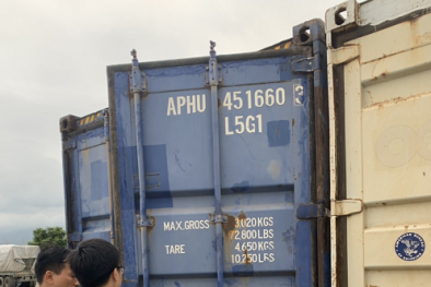 Phát hiện và thu giữ 440 tấn hạt dẻ 'vô chủ' không rõ nguồn gốc
