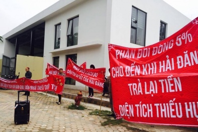 HD Mon Holdings mở bán dự án The Zei Mỹ Đình giữa tai tiếng bủa vây