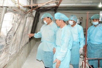 Thủ tướng kiểm tra, đôn đốc công tác phòng, chống dịch tả lợn châu Phi