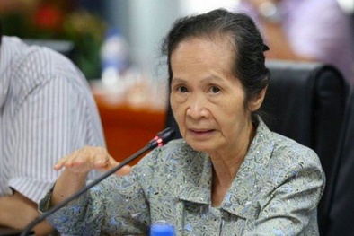 Chuyên gia Phạm Chi Lan: Thị trường trong nước đang 'nở' lên, đừng nhường hết cơ hội cho FDI