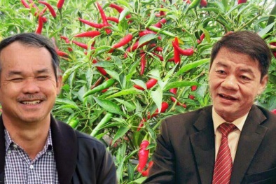 Chi hơn 600 tỷ, đại gia vượt Thaco thành cổ đông lớn ở công ty bầu Đức là ai?