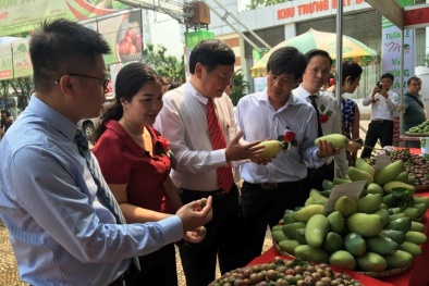 Trái mận và nông sản an toàn Sơn La đến với người tiêu dùng Thủ đô