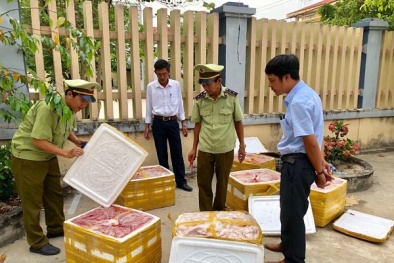 Phát hiện 460 kg nội tạng động vật không hóa đơn chứng từ