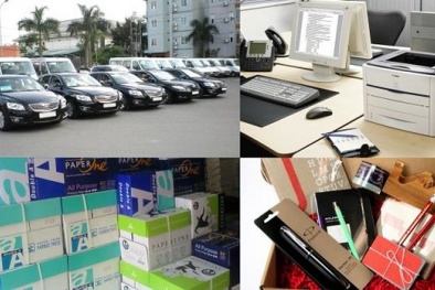 ‘Điểm nghẽn’ trong Luật Quản lý, sử dụng tài sản công?