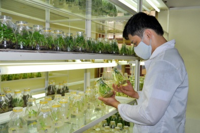 Giải mã 'điểm nghẽn' trong quá trình tăng năng suất lao động Việt Nam