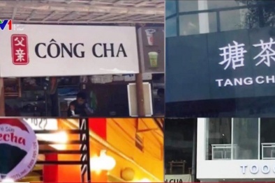 Tràn lan trà sữa nhái thương hiệu