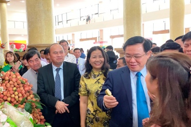 Vụ vải thiều Lục Ngạn - Bắc Giang 2019, Central Group tiêu thụ 350 tấn