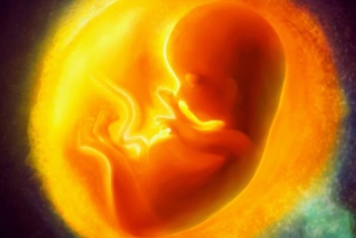 Cảnh báo dị tật thai nhi do 100% các ông bố làm điều này