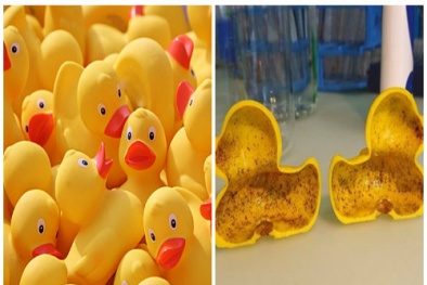 Phát hiện hóa chất gây vô sinh 'tiềm ẩn' trong vịt cao su đồ chơi trẻ em Trung Quốc