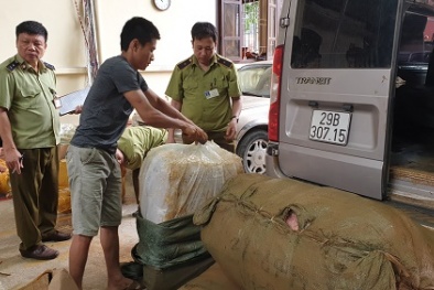 Vận chuyển lượng lớn giày thể thao giả nhãn hiệu nổi tiếng về Việt Nam tiêu thụ
