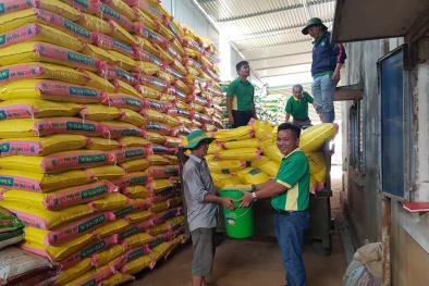 PVFCCo lần thứ 5 vào Top 50 DN niêm yết tốt nhất Việt Nam