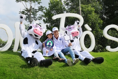 Tận mắt thấy những cô bò ở 'Resort' góp công vào ly sữa học đường
