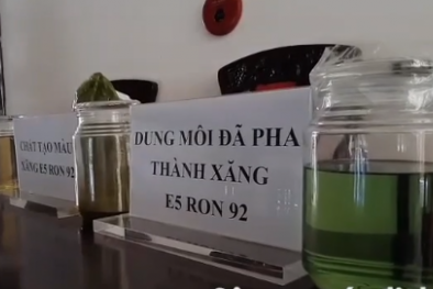 Đại gia Trịnh Sướng và đồng phạm thu lợi hàng nghìn tỷ từ xăng giả?