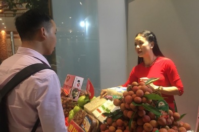 Đưa trái vải thiều Lục Ngạn đến với người dân Thủ đô