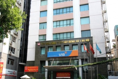 HACC1 dính ‘án phạt’ do báo cáo không đúng thời hạn