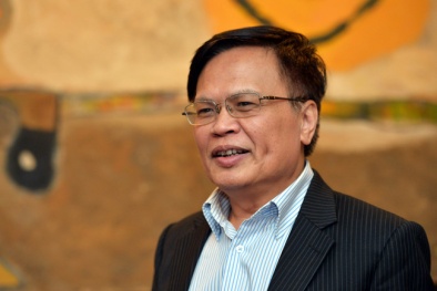 TS Nguyễn Đình Cung: 'Cả DNNN lẫn tư nhân ai cũng mong được như khối bên kia'