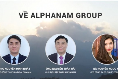 Đại gia nghìn tỷ Alphanam giải thể công ty lừng lẫy một thời: Lý do vì đâu?