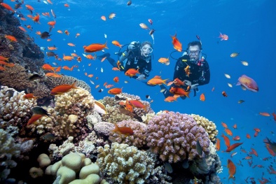 Thám hiểm đại dương tại đảo 'thiên đường' Okinawa – Nhật Bản