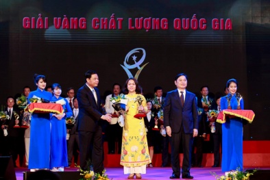 Áp dụng ISO 9001:2015 giúp Du lịch Hoàn Mỹ nâng cao chất lượng dịch vụ