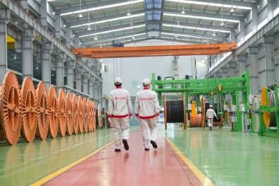 CADI-SUN: Nâng cao năng suất chất lượng, tăng sức cạnh tranh doanh nghiệp