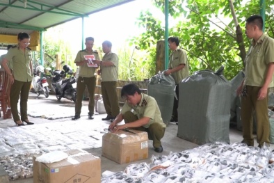 Quảng Nam: Phát hiện xe khách Hoàng Long chở lượng lớn hàng hóa nghi nhập lậu