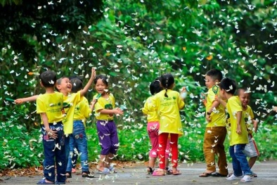 Khám phá những 'ngôi nhà thiên nhiên' đầy lý thú cho trẻ phát triển toàn diện