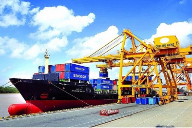 6 tháng đầu năm, Việt Nam xuất siêu gần 1,7 tỷ USD