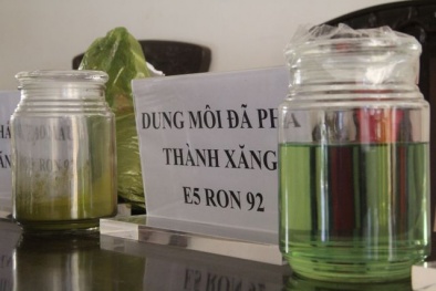Đắk Nông: Bắt 28 đối tượng trong đường dây kinh doanh xăng không đạt chuẩn của đại gia Trịnh Sướng