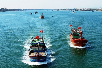 Chỉ đạo 'nóng' của Chính phủ để gỡ ‘thẻ vàng’ thủy sản