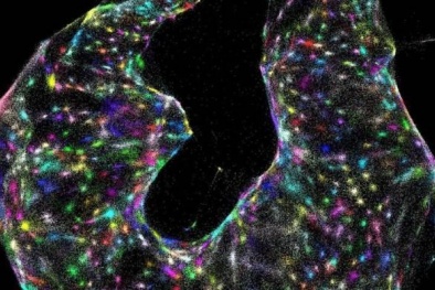 Khám phá loại kính hiển vi có khả năng chụp được DNA của con người