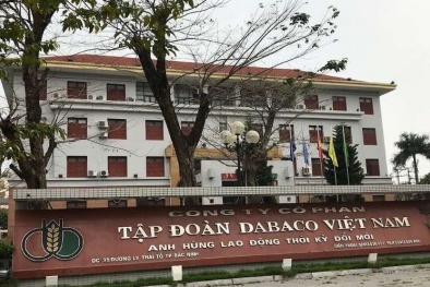 Lợi nhuận Dabaco giảm 91%, nợ vay tài chính tăng mạnh