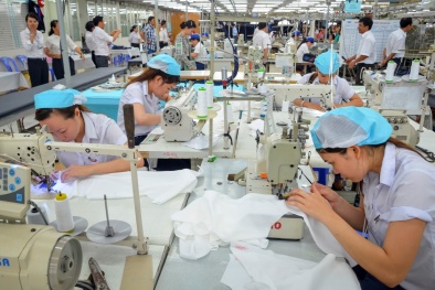 Trước ngày 15/8, rà soát Danh sách sơ tuyển 'Doanh nghiệp xuất khẩu uy tín năm 2018'