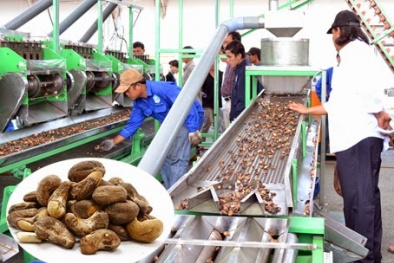 ‘Chìa khóa’ nào giúp doanh nghiệp vừa và nhỏ nâng cao năng suất?