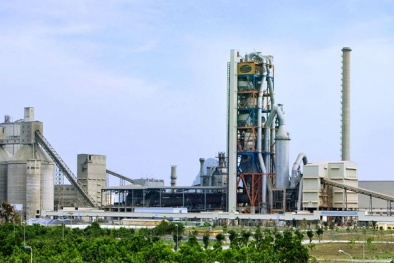 Công ty CP Xi măng và Xây dựng Quảng Ninh dính ‘án phạt’ do vi phạm công bố thông tin