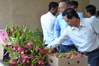 Trái cây vào thị trường Trung Quốc sẽ được truy xuất nguồn gốc bằng hệ thống chuẩn