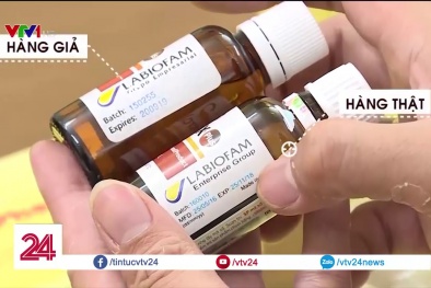 Phân biệt thật giả thuốc trị ung thư từ nọc bọ cạp