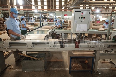 Ứng dụng công nghệ cao: Giải pháp nâng cao năng suất cho doanh nghiệp gỗ