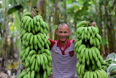 Ứng dụng công nghệ truy xuất nguồn gốc thúc đẩy giá trị đặc sản địa phương