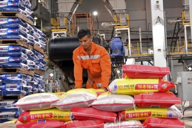 Công đoàn và người lao động: Đồng hành cùng PVFCCo vượt khó