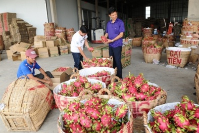 Chìa khóa giúp nông sản Việt ‘rộng đường’ vào thị trường Trung Quốc