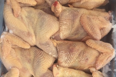 Lo ngại tình trạng giá gà nhập siêu rẻ khiến ngành chăn nuôi Việt Nam bị ảnh hưởng