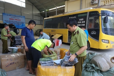 Thu gom kem đánh răng, bột phụ gia thực phẩm 'rởm' về các tỉnh bán kiếm lời