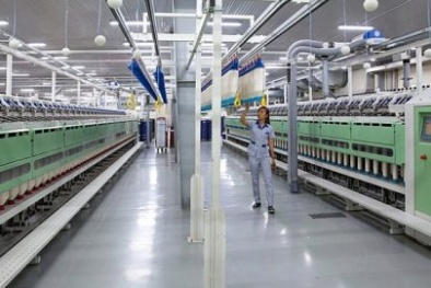 Chương trình 712: Doanh nghiệp thay đổi hiệu quả quản lý trực quan nhờ duy trì 5S