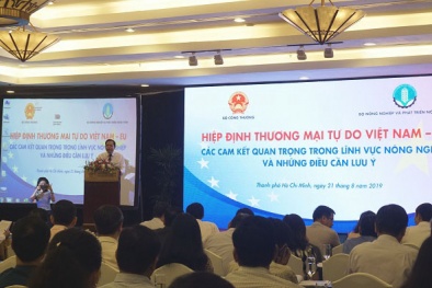 Hiệp định EVFTA - Cơ hội lớn cho xuất khẩu nông sản Việt